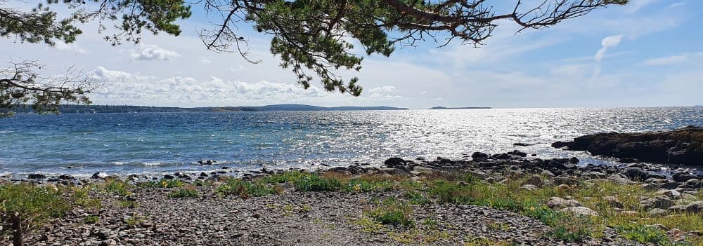 Hva kan vi fortelle om Oslofjorden i 2024?